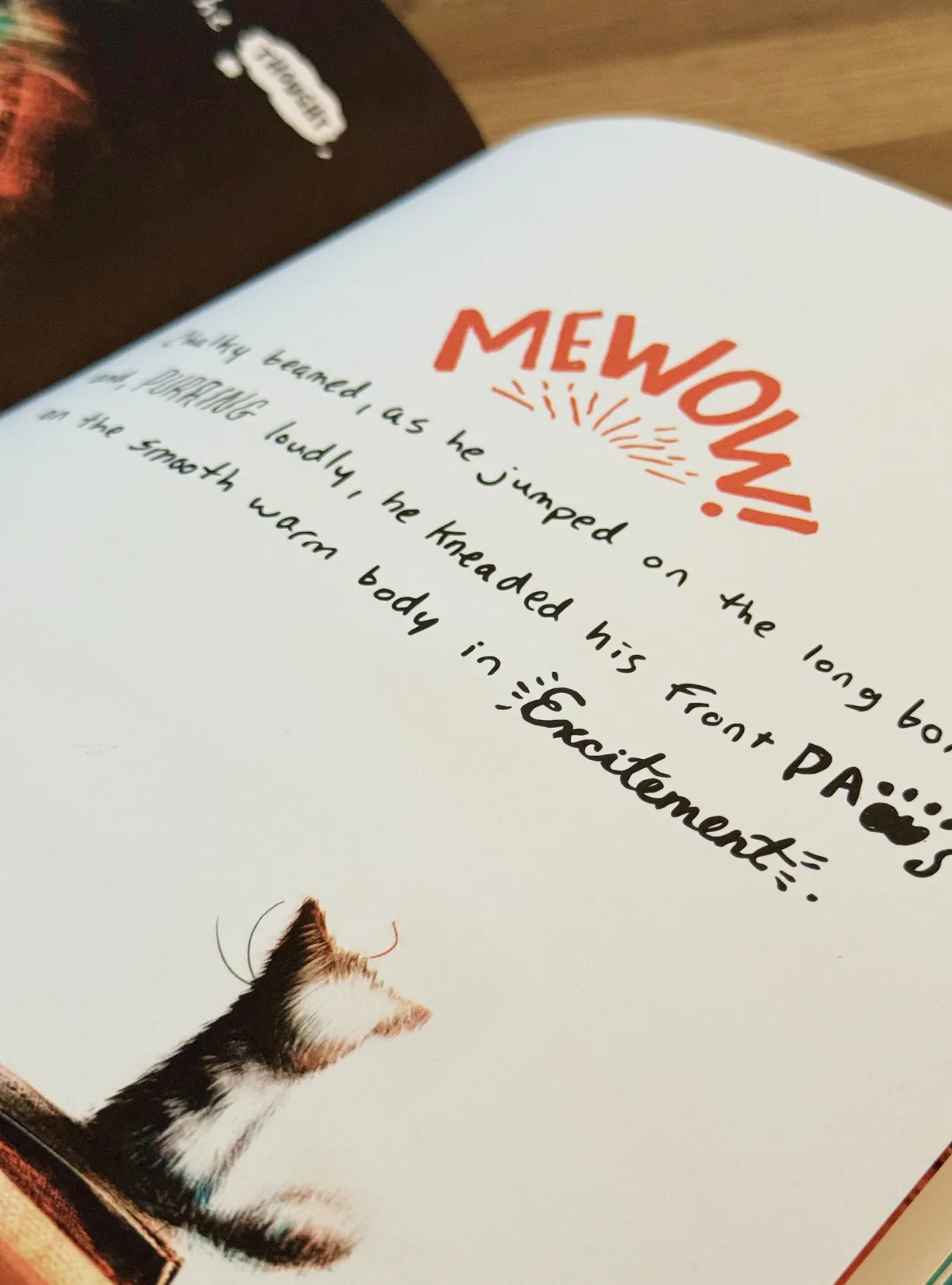 Pages from the Chalky and the New Sports Car book