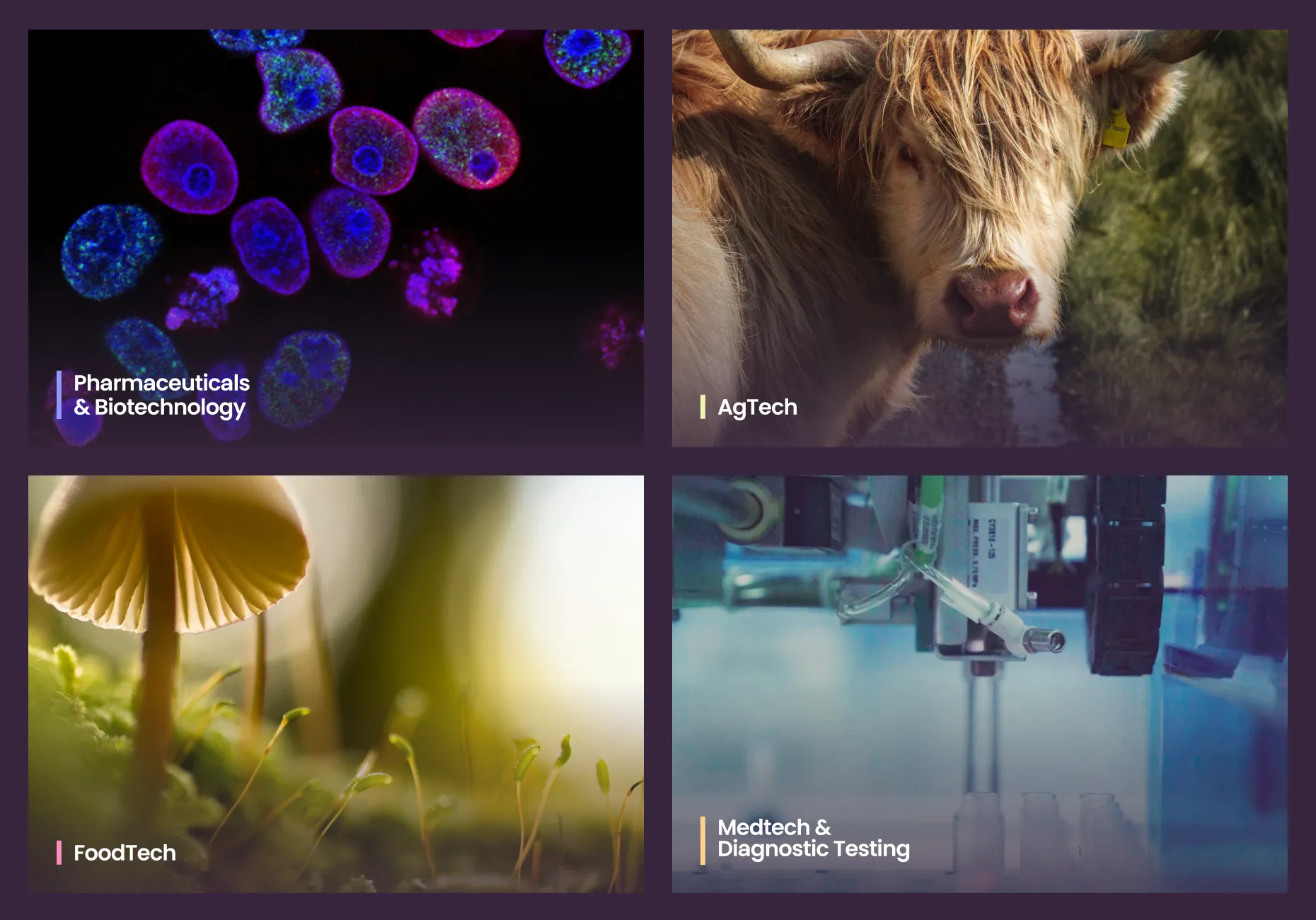 A snapshot from the GoKarya website